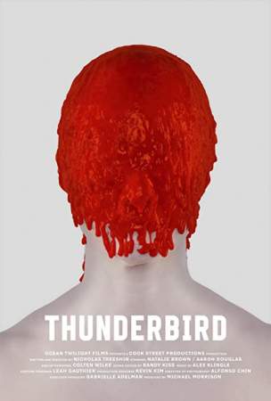 Громовая птица онлайн